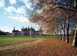 加拿大麻烦,挑战与应对策略全解析