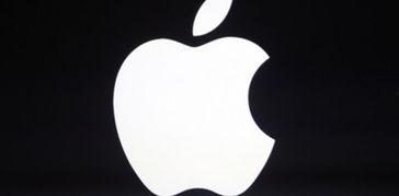 加拿大麻烦,挑战与应对策略全解析