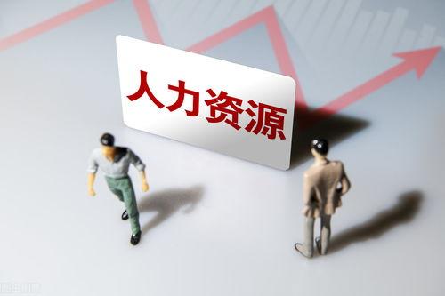 人力资本,塑造未来企业竞争力的核心要素