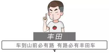 他能听到我的心2025,2025，倾听心跳的科技奇迹
