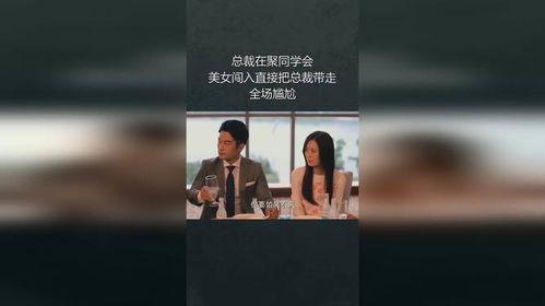 美女总裁的拜金同学会,美女总裁的财富传奇