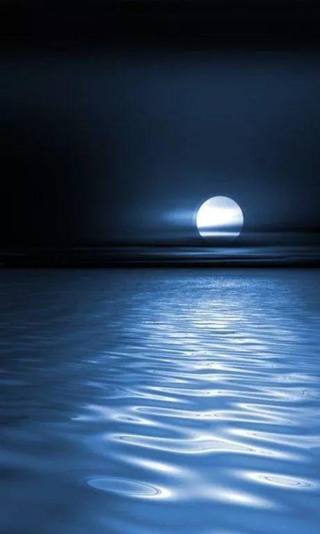 清冷月光坠我心,一场浪漫的邂逅