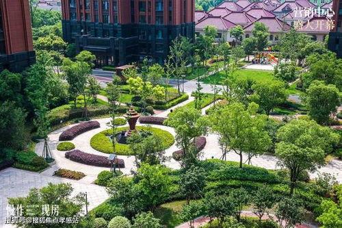 家园 2024,展望未来，共筑美好新篇章